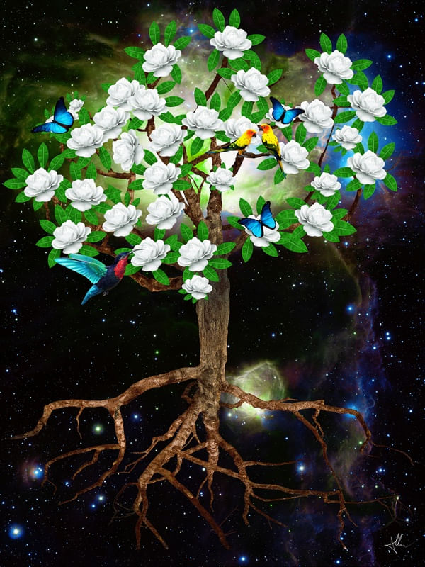 TREE IN SPACE
