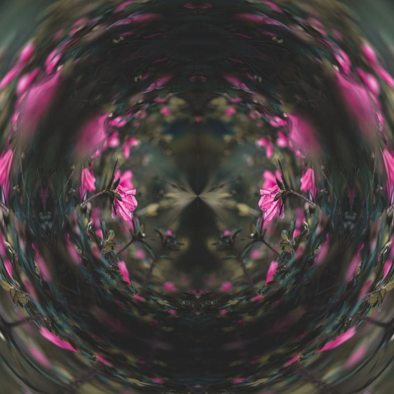 NATURE'S LOOP