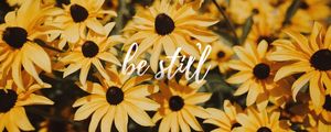 BE STILL - GIRASSOL