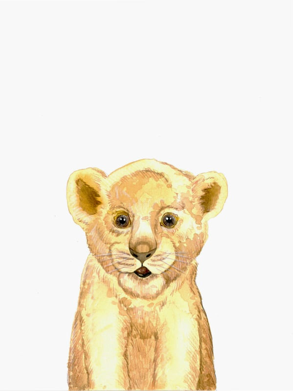 REI DA SELVA