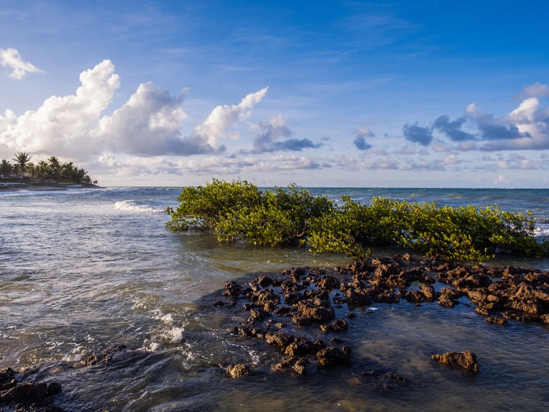 PRAIA DE PIRAMBUZIUS