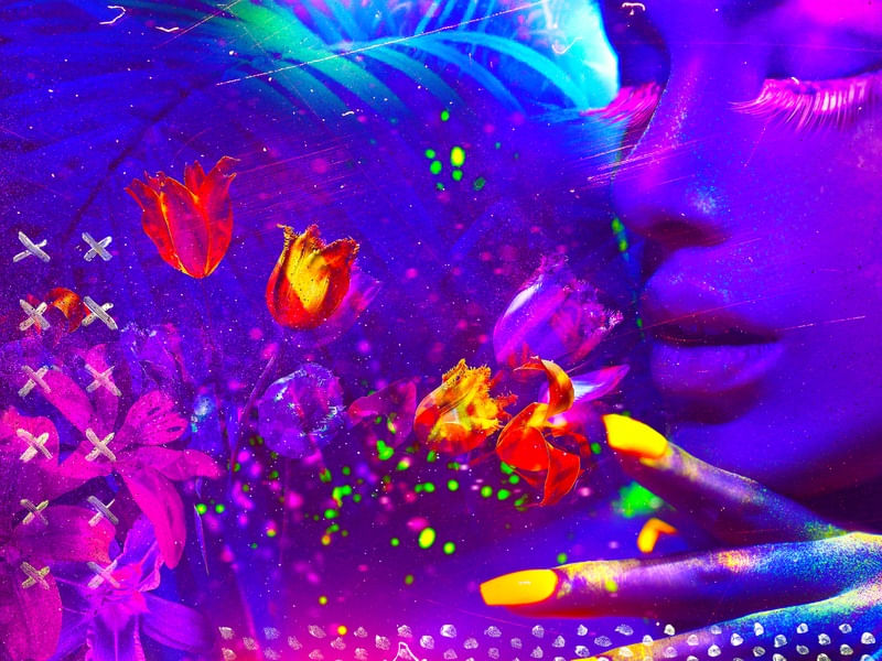 NEON FLOWERS 1