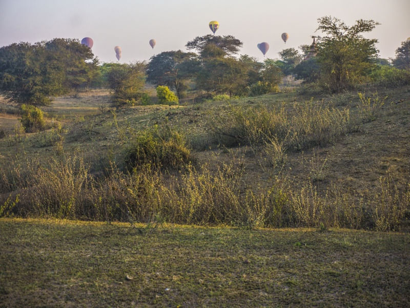 BALOES MYANMAR