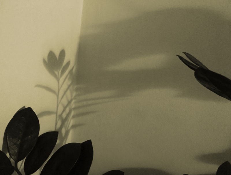 DIALOGANDO COM AS SOMBRAS II