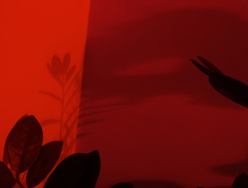 DIALOGANDO COM AS SOMBRAS III