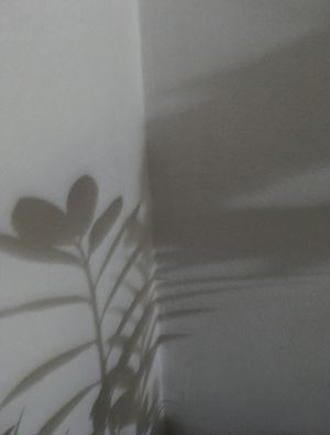 DIALOGANDO COM AS SOMBRAS IV