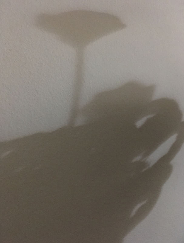 DIALOGANDO COM AS SOMBRAS V