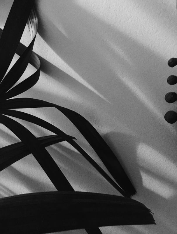 DIALOGANDO COM AS SOMBRAS VIII
