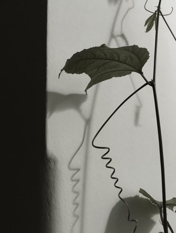 DIALOGANDO COM AS SOMBRAS XVI