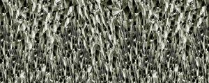 MOSAIC-PLANTS