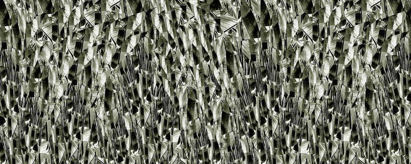 MOSAIC-PLANTS