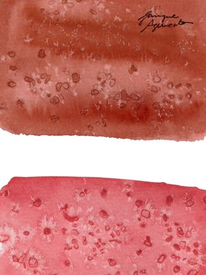 MEU BLUSH
