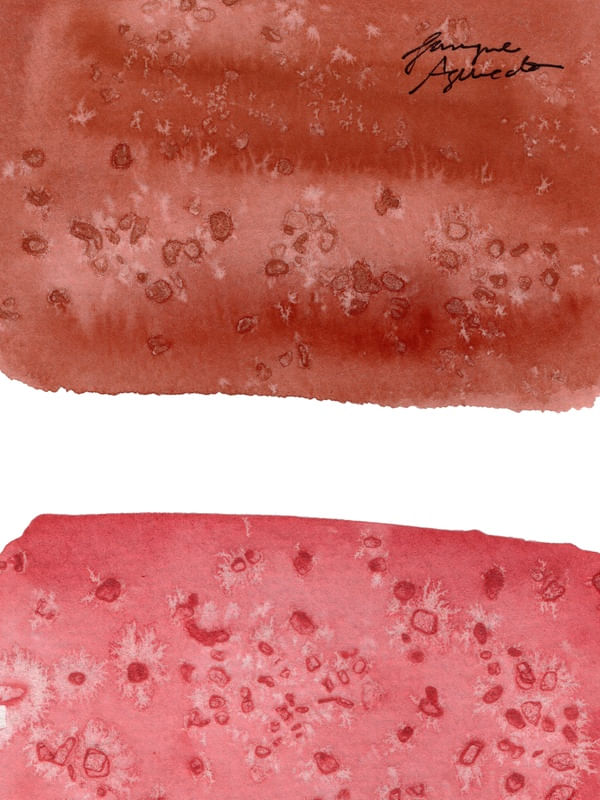 MEU BLUSH