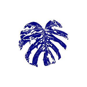 COSTELA DE ADÃO AZUL