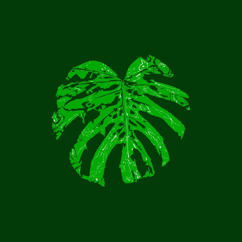 COSTELA DE ADÃO VERDE CLARO E VERDE ESCURO
