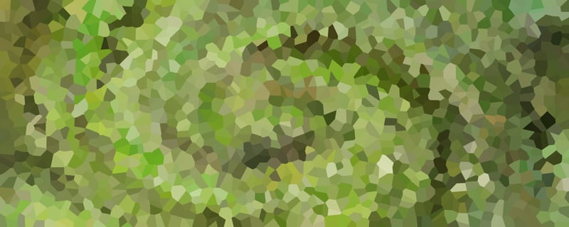 PANORÂMICA SOLAR VERDE VOSTRO
