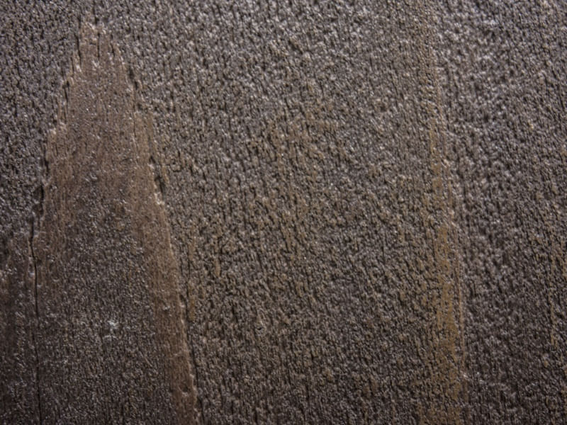 TEXTURA TAIWAN NATUREZA