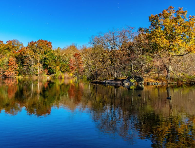 CENTRAL PARK NO OUTONO