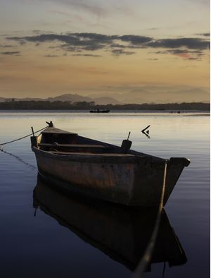 TARDE DE PAZ