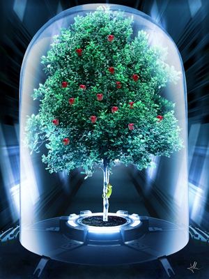 ENVIRONMENTAL PRESERVATION