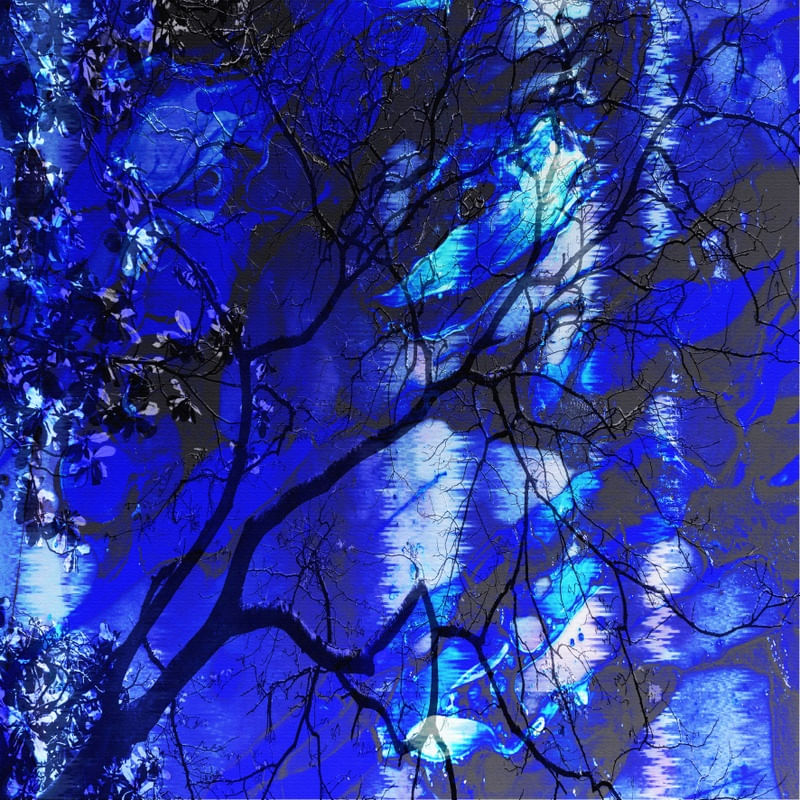 NATUREZA EM FESTA DE GALA ARTISTA GLORIA RIMES