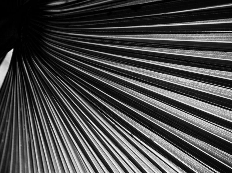 FOLHA COM LINHAS DIAGONAIS 72019 2
