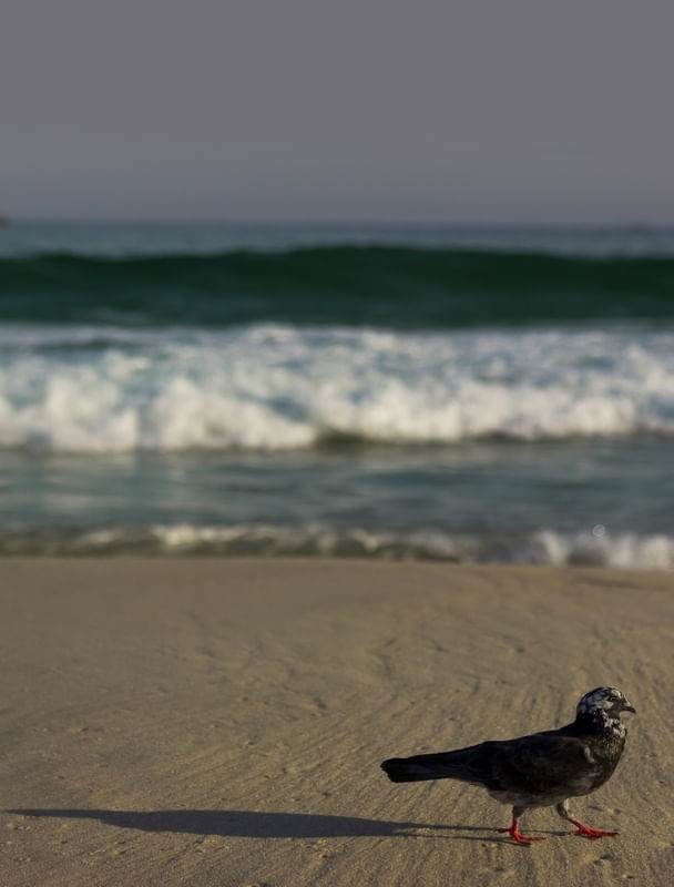 SOLZINHO EM IPANEMA