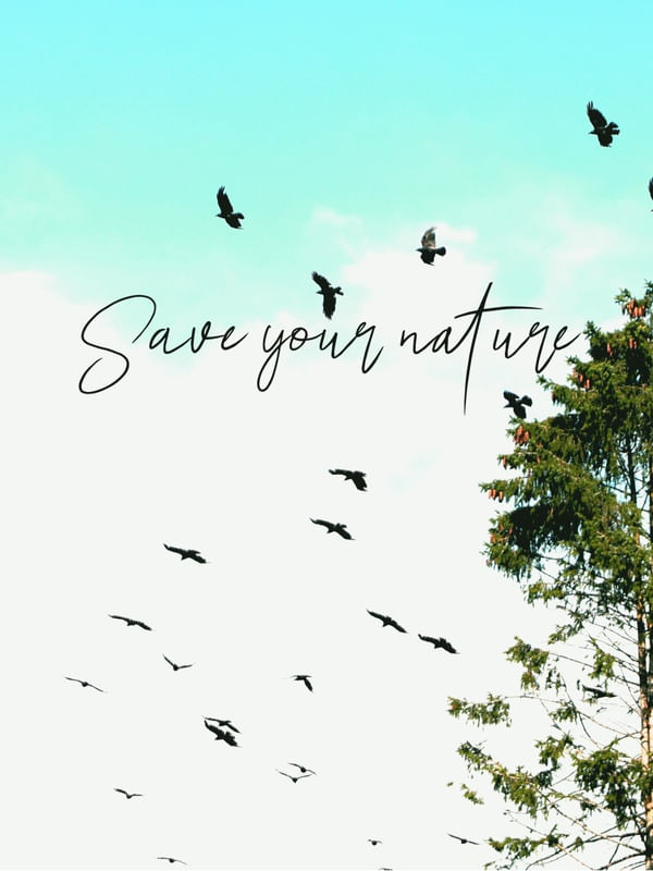 SAVE OUR NATURE I