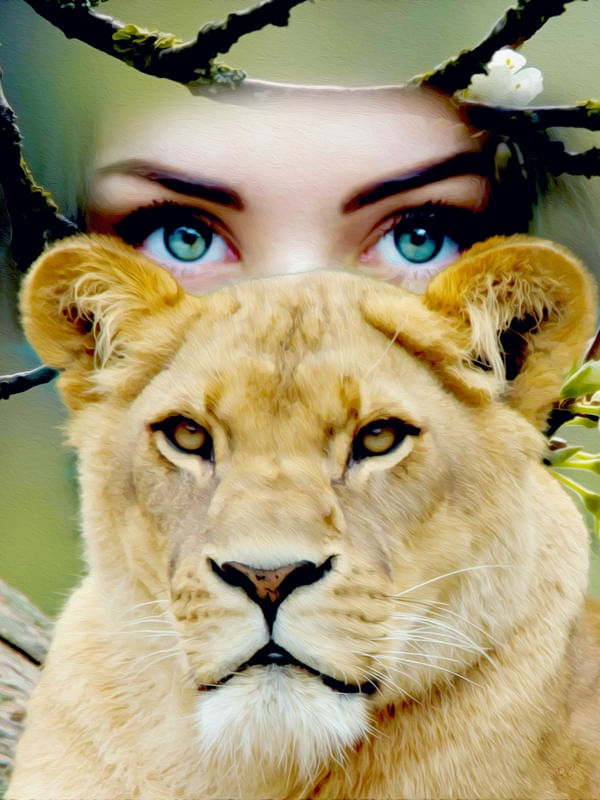 SAVE OUR NATURE IX
