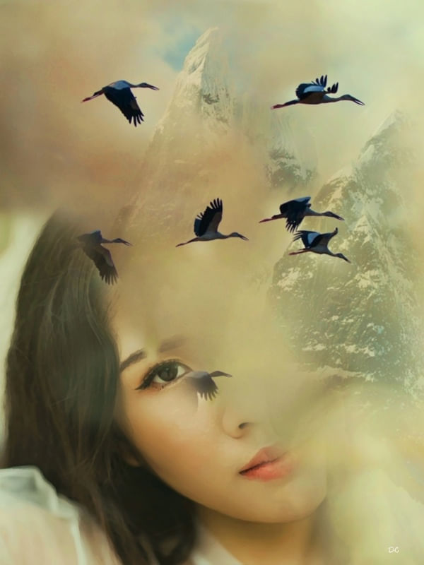 SAVE YOUR NATURE IX