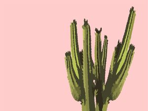 CACTUS 1 - DV