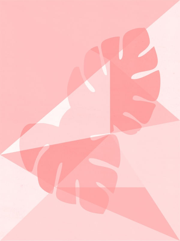 FOLHAS 5 - DV