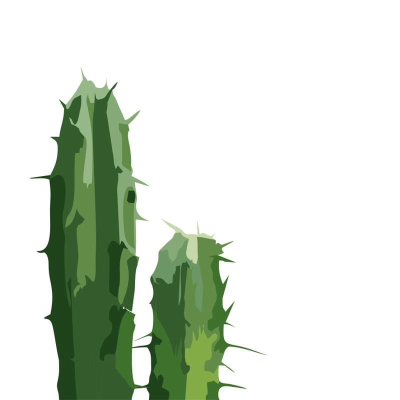 CACTUS 2 - DV