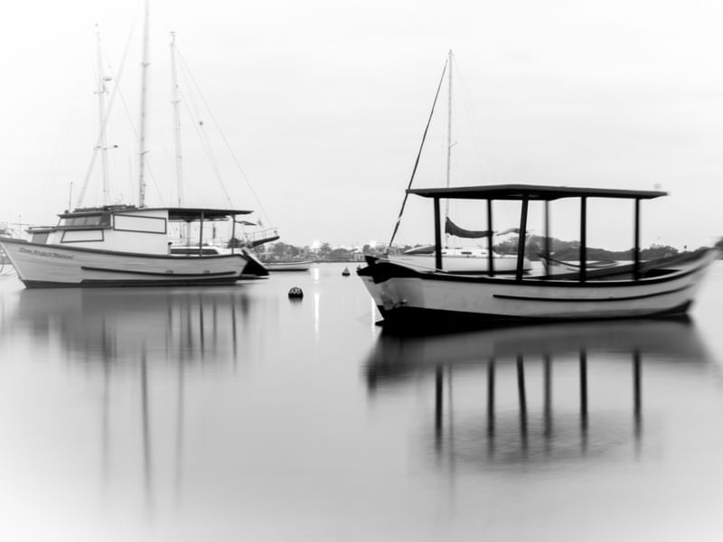 BARCOS NA MANHÃ