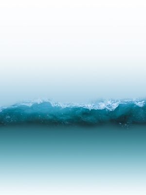 SECTION OF LOVE