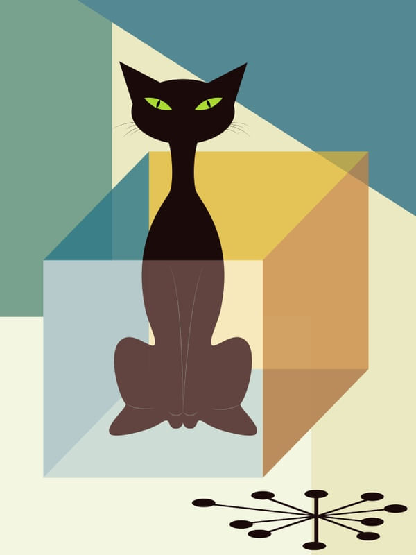 SCHRODINGER'S CAT