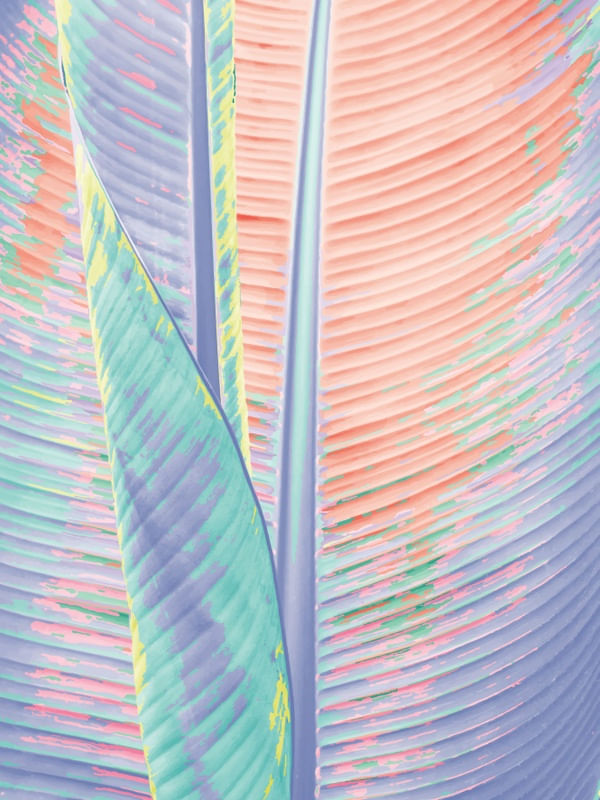 ALOHA FEELING