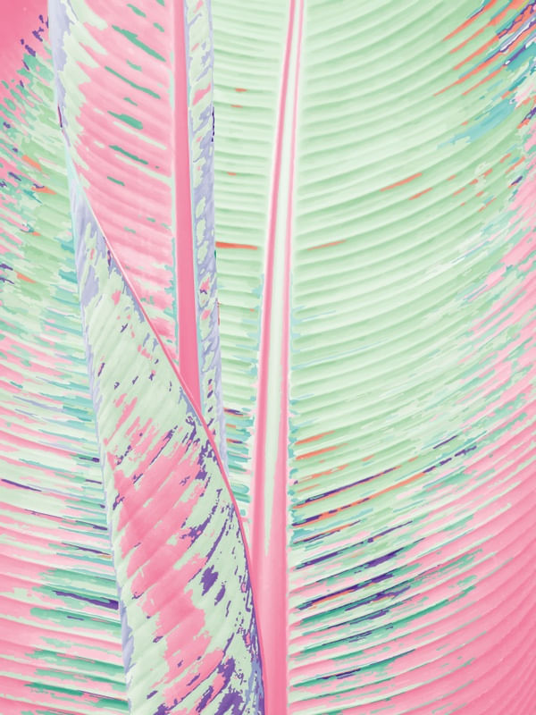 FLAMINGO AND BANANA