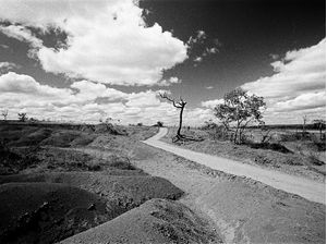 DESERTO-BRITO2