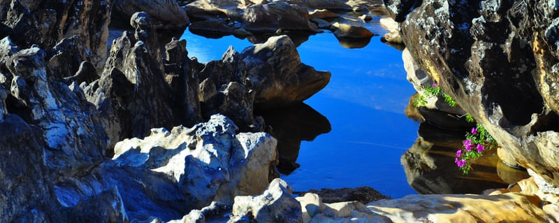 NUANCES DA NATUREZA III
