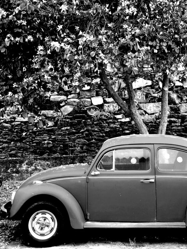 FUSCA HISTÓRICO