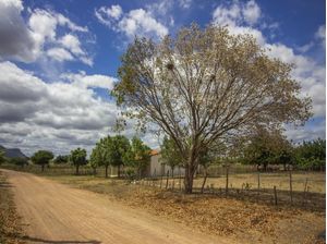 CAJUÍ