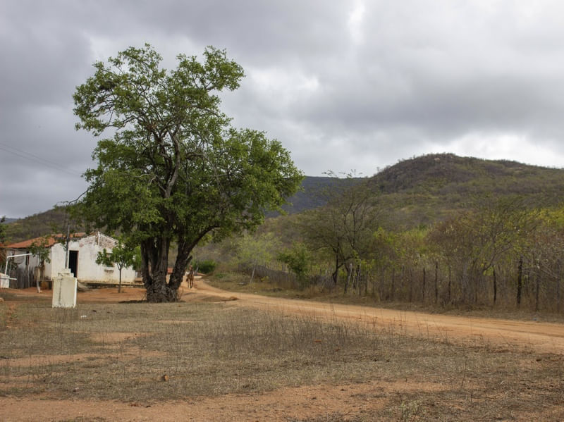 JUAZEIRO