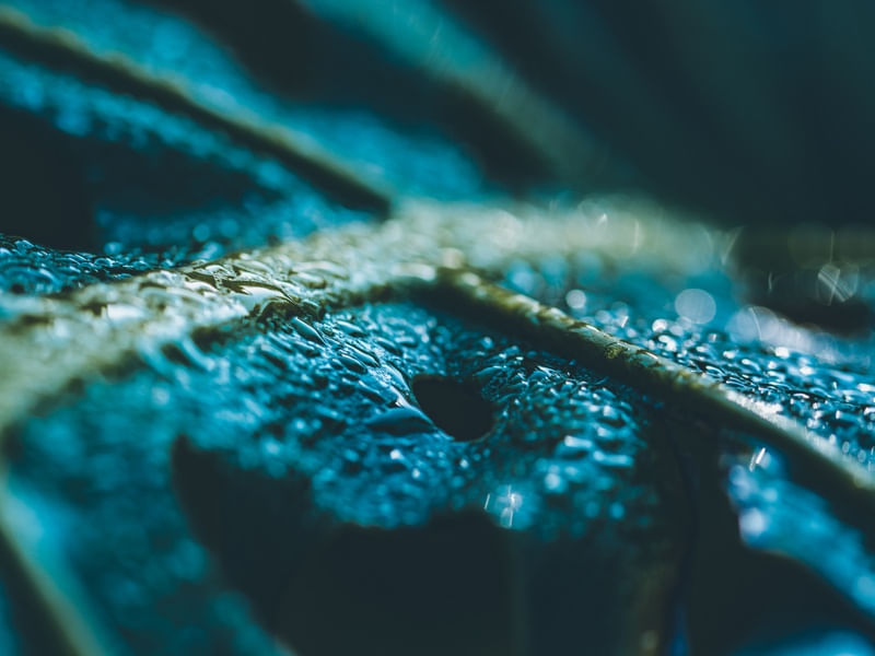 BLUE NATURE SERIES (3)