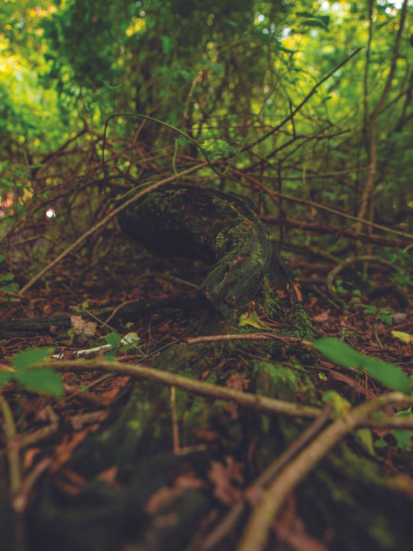 FIND A WAY