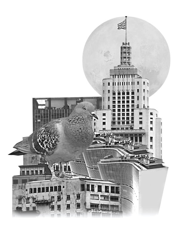 POMBA - SÃO PAULO