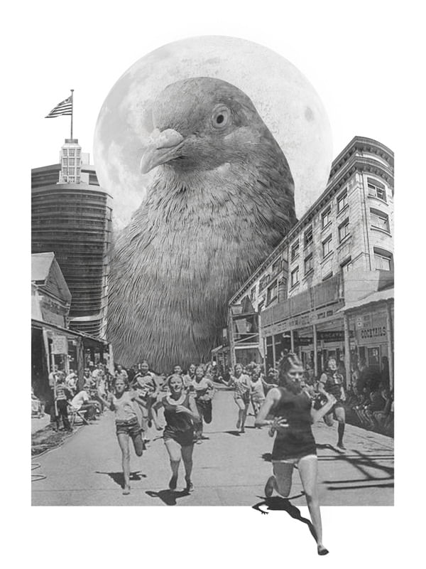 POMBAZILLA - SÃO PAULO