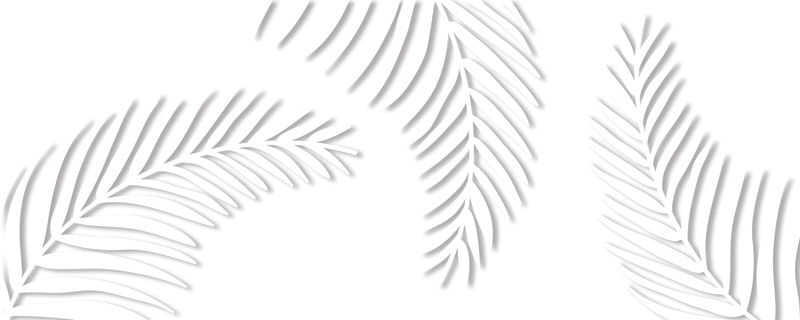 WHITE TROPICAL PANORAMICO1