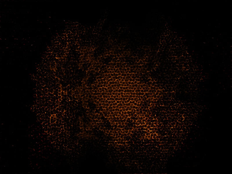 EXPLOSION WEB