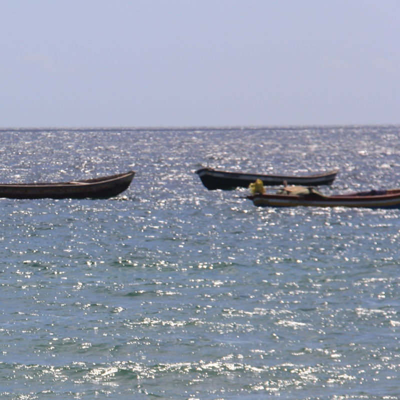 O BARCO 2